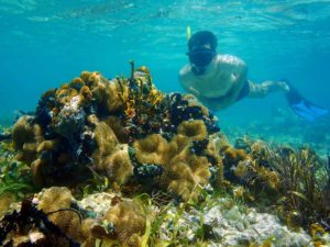 boy snorkeling at Dunbar Rock