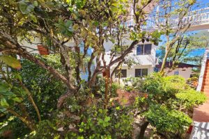 courtyard plants at Dunbar Rock