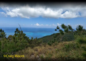 Michael's Rock Hike