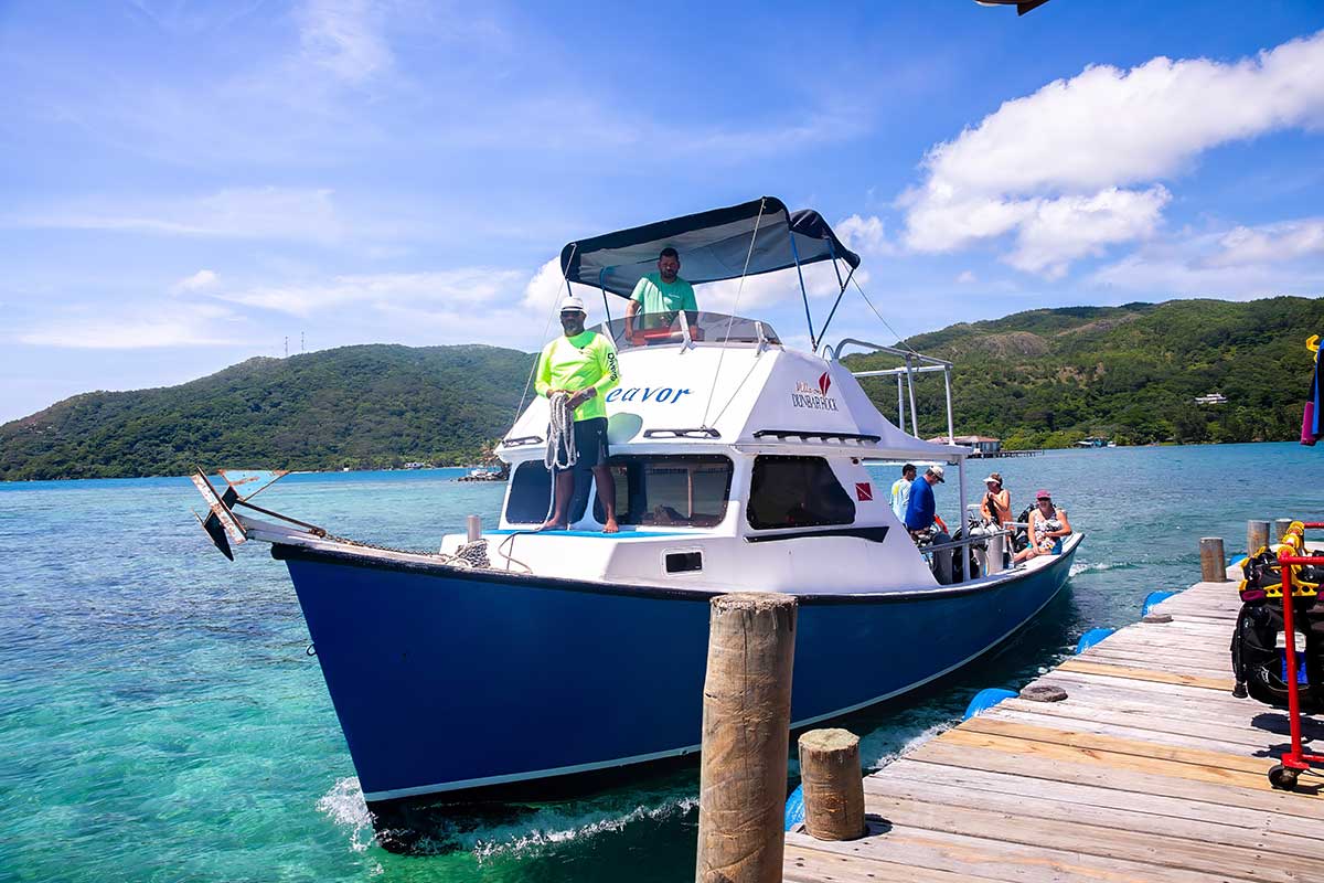 dive boat docking